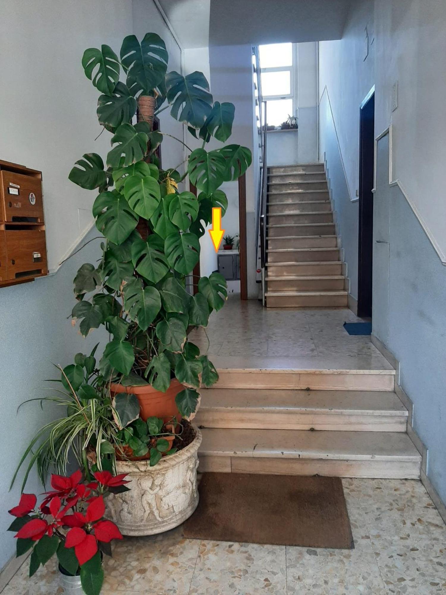 Apartment L'appartamentino - My Cosy Little
