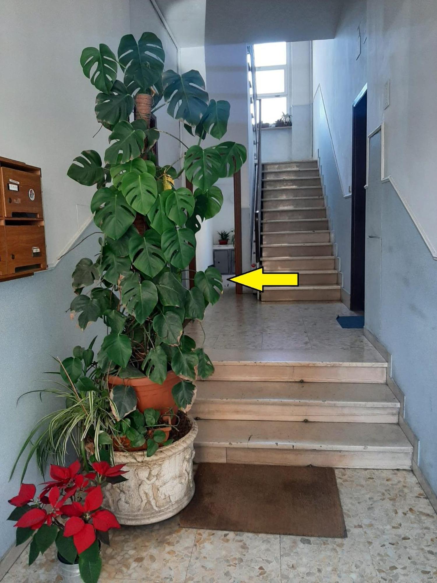 L'appartamentino - My Cosy Little Apartment